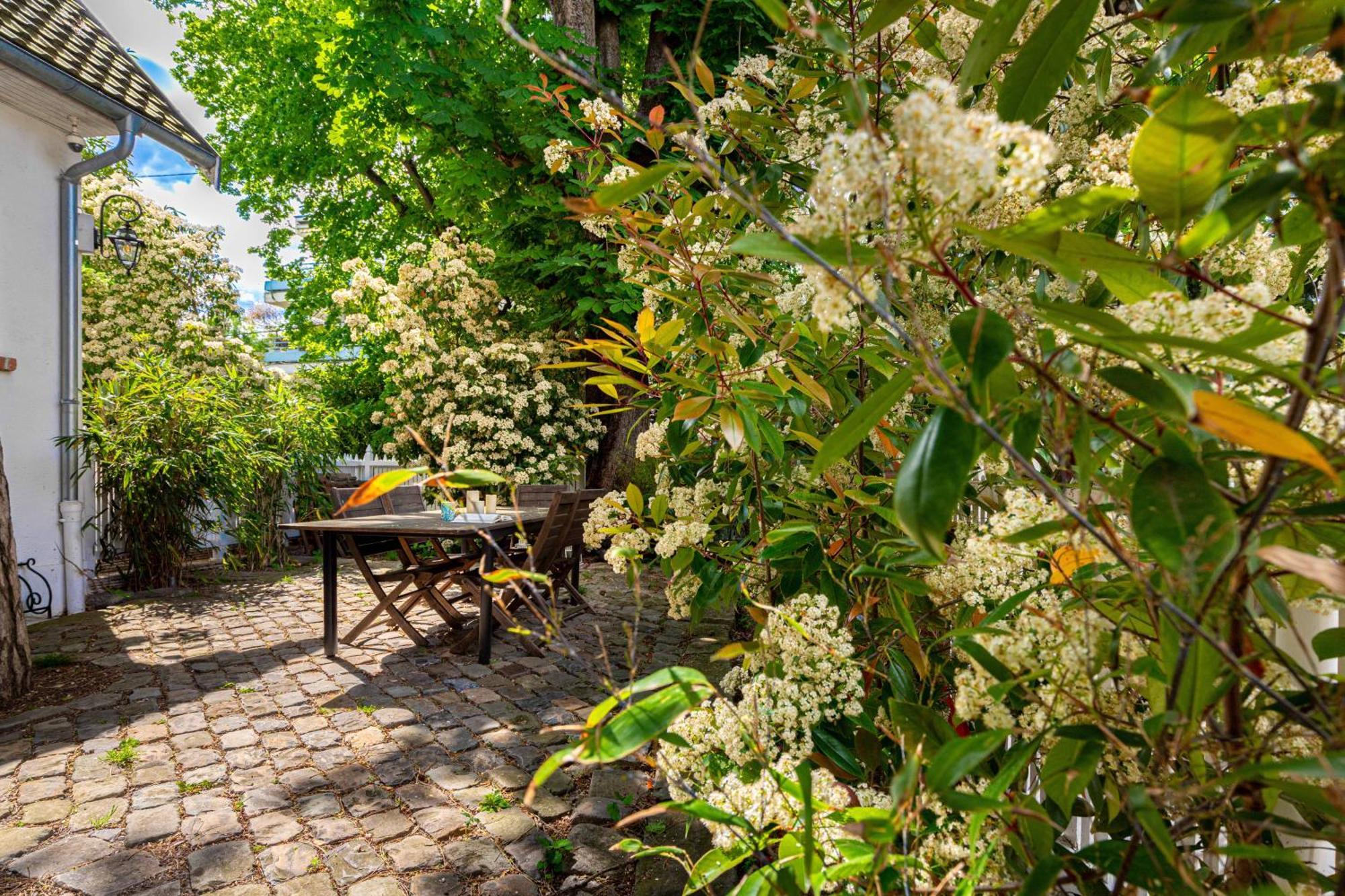 Grand & Classy Apartment With Private Garden, Villa Des Ammonites Meudon Exterior foto